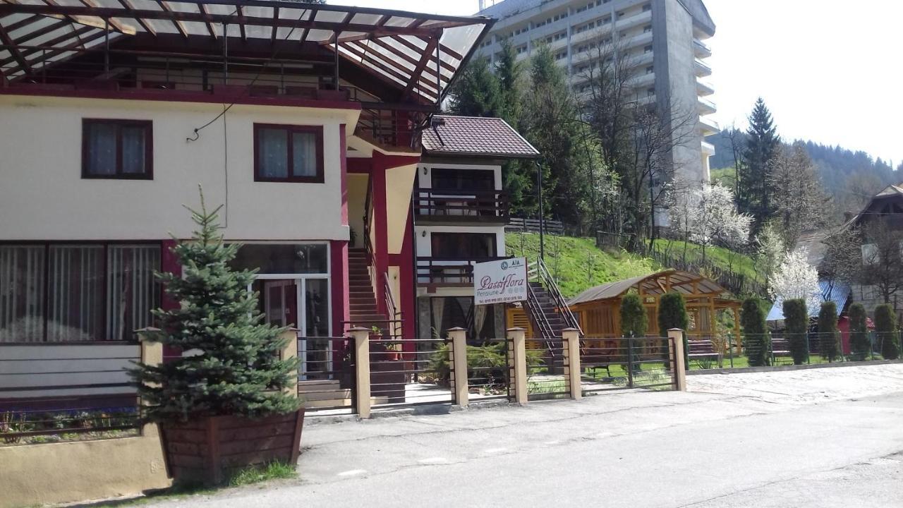 Passiflora Hotel Voineasa Exterior photo